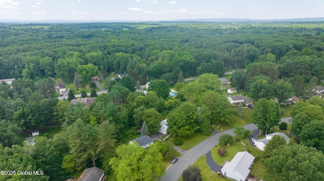 12 Heritage Ln, Clifton Park, NY 12065 - drone / aerial view of a heavily wooded area