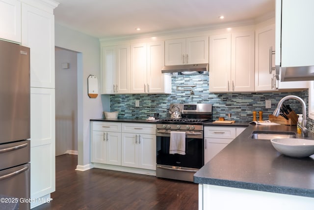 12 Heritage Ln, Clifton Park, NY 12065 - kitchen with appliances with stainless steel finishes, under cabinet range hood, dark countertops, dark wood finished floors, and decorative backsplash