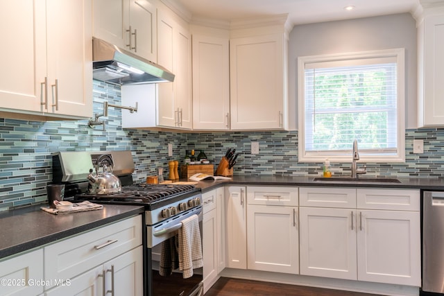 12 Heritage Ln, Clifton Park, NY 12065 - kitchen with appliances with stainless steel finishes, under cabinet range hood, dark countertops, white cabinetry, and decorative backsplash