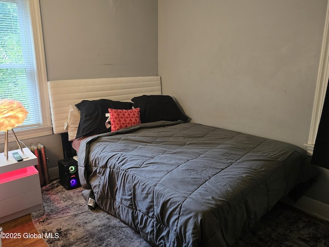 1820 Wagner St, Schenectady, NY 12303 - photo 12