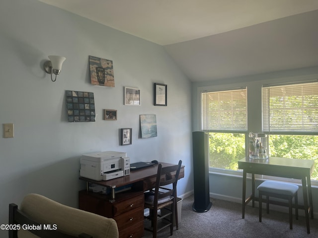 1137 Sumner Ave, Schenectady, NY 12309 - photo 13