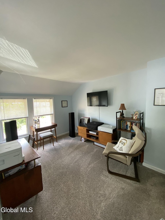 1137 Sumner Ave, Schenectady, NY 12309 - photo 12