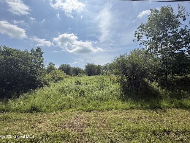 L5 Depot Rd, Duanesburg, NY 12056
