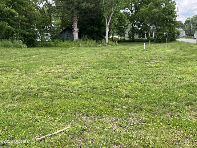 59 W St, Whitehall Village, NY 12887 - view of green lawn