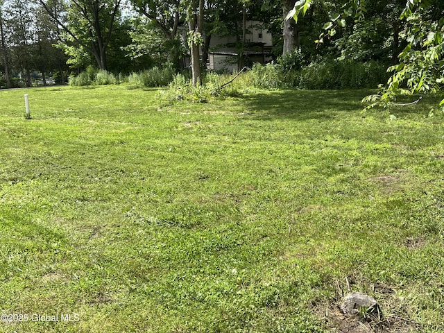 59 W St, Whitehall Village, NY 12887 - view of grassy yard