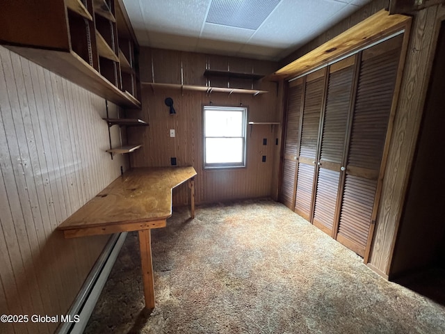 59 W St, Whitehall Village, NY 12887 - unfurnished office with wooden walls and carpet