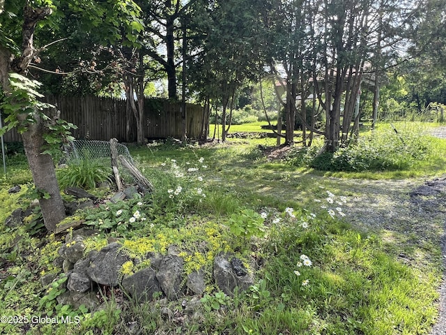 59 W St, Whitehall Village, NY 12887 - view of yard