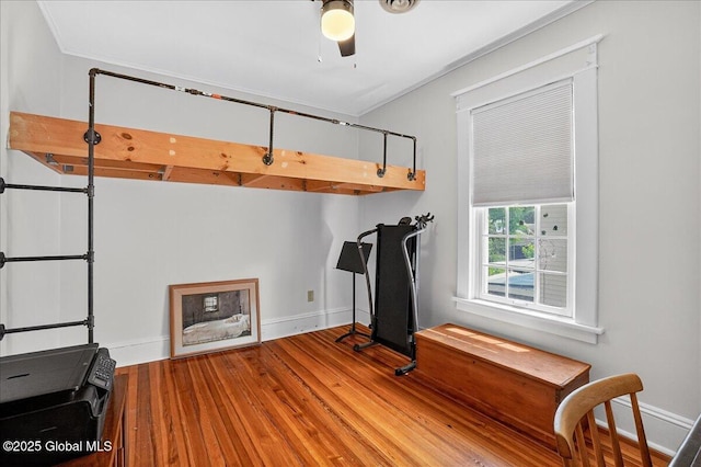 1280 Dean St, Niskayuna, NY 12309 - exercise room featuring ornamental molding, wood finished floors, and ceiling fan