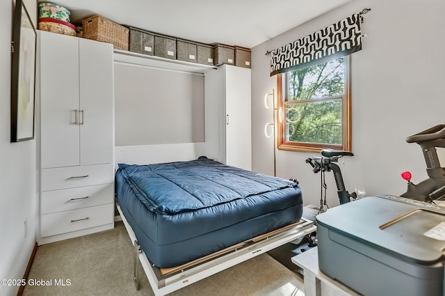183 Cedarview Ln, Colonie, NY 12189 - bedroom with carpet floors