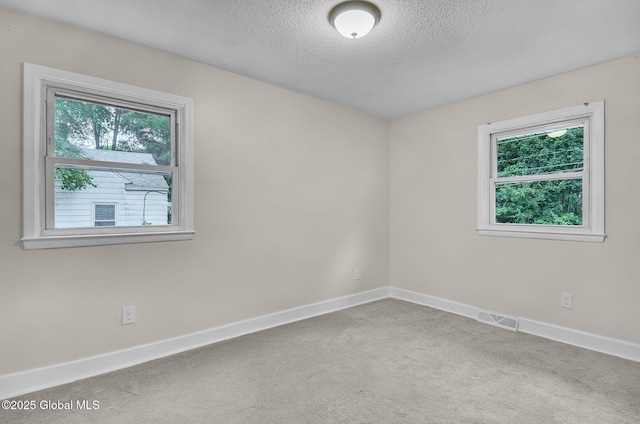 311 Old Loudon Rd, Colonie, NY 12110 - carpeted empty room with plenty of natural light and a textured ceiling
