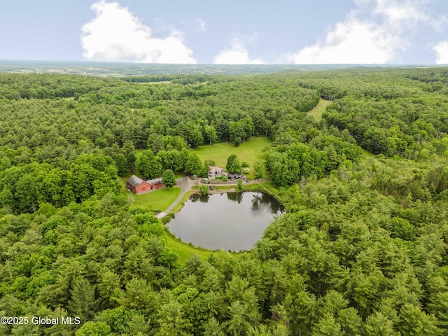 88 Mac Brown Rd, Claverack, NY 12513 - drone / aerial view of a forest and a nearby body of water