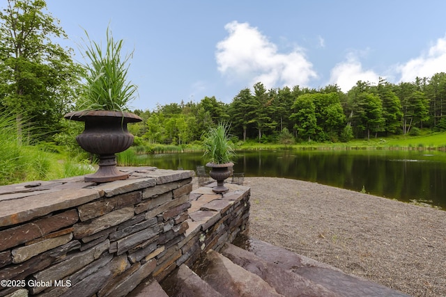 88 Mac Brown Rd, Claverack, NY 12513 - dock with a water view and a forest view