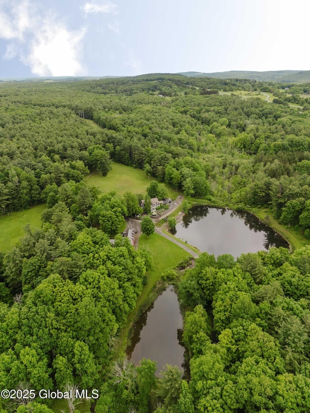 88 Mac Brown Rd, Claverack, NY 12513 - aerial view of a forest and a large body of water