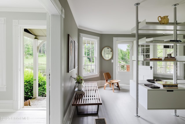 88 Mac Brown Rd, Claverack, NY 12513 - doorway with plenty of natural light, crown molding, and wood finished floors