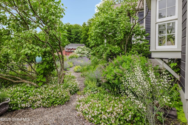 88 Mac Brown Rd, Claverack, NY 12513 - view of yard