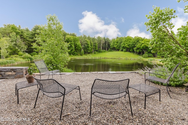 88 Mac Brown Rd, Claverack, NY 12513 - view of patio / terrace featuring a water view and a wooded view