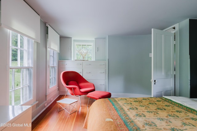 88 Mac Brown Rd, Claverack, NY 12513 - bedroom featuring light wood-style floors