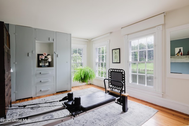 88 Mac Brown Rd, Claverack, NY 12513 - exercise room with light wood-type flooring and baseboards