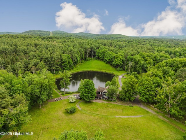 88 Mac Brown Rd, Claverack, NY 12513 - bird's eye view of a heavily wooded area and a nearby body of water