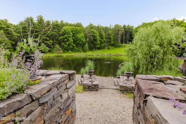 88 Mac Brown Rd, Claverack, NY 12513 - water view with a heavily wooded area