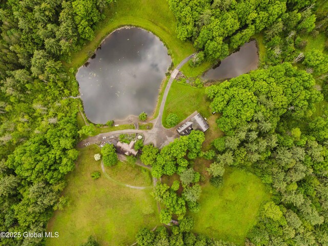 88 Mac Brown Rd, Claverack, NY 12513 - drone / aerial view of a nearby body of water
