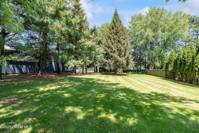 2 Eddy Ln, East Greenbush, NY 12144 - view of yard
