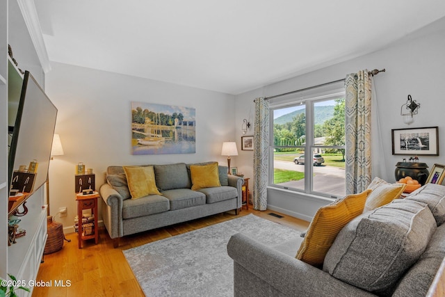25 Mockingbird Ln, Queensbury, NY 12804 - living area with light wood-type flooring and baseboards