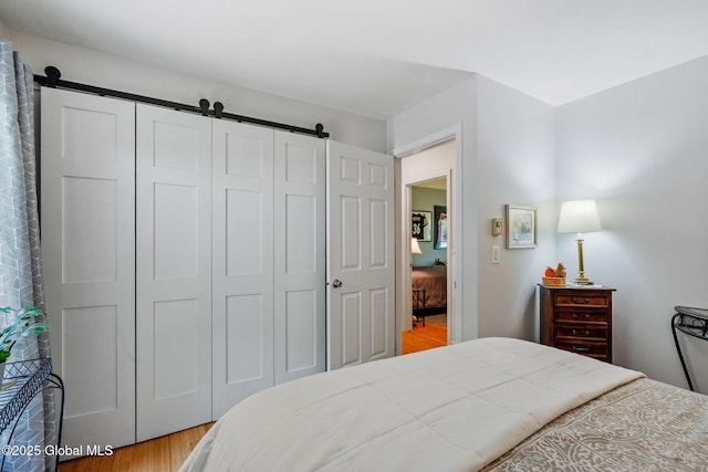 25 Mockingbird Ln, Queensbury, NY 12804 - bedroom featuring a barn door, light wood finished floors, and a closet