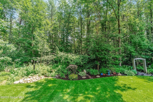 25 Mockingbird Ln, Queensbury, NY 12804 - view of green lawn featuring a wooded view