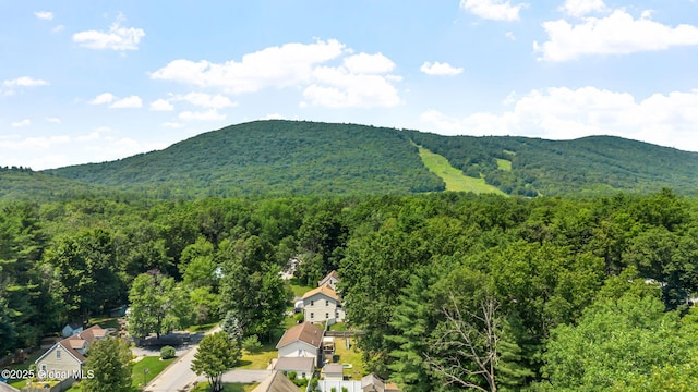 25 Mockingbird Ln, Queensbury, NY 12804 - view of mountain backdrop featuring a forest