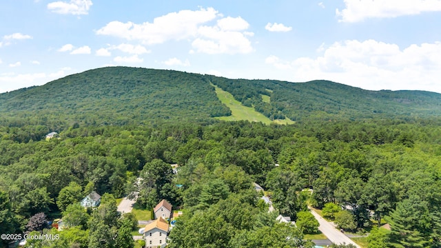 25 Mockingbird Ln, Queensbury, NY 12804 - aerial view of a forest and a mountainous background