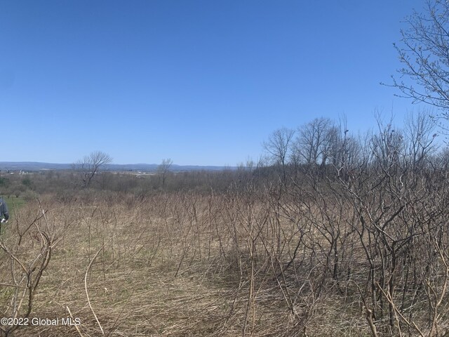 209 Firefly Meadow Rd, Fultonville, NY 12072 - photo 4