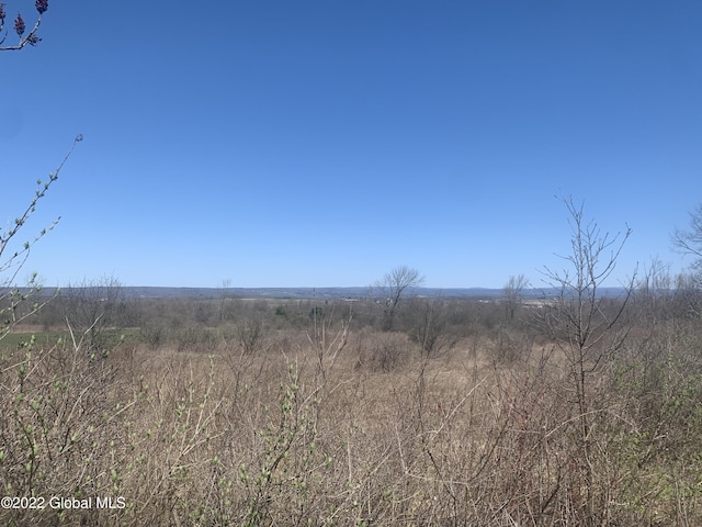 209 Firefly Meadow Rd, Fultonville, NY 12072 - photo 6