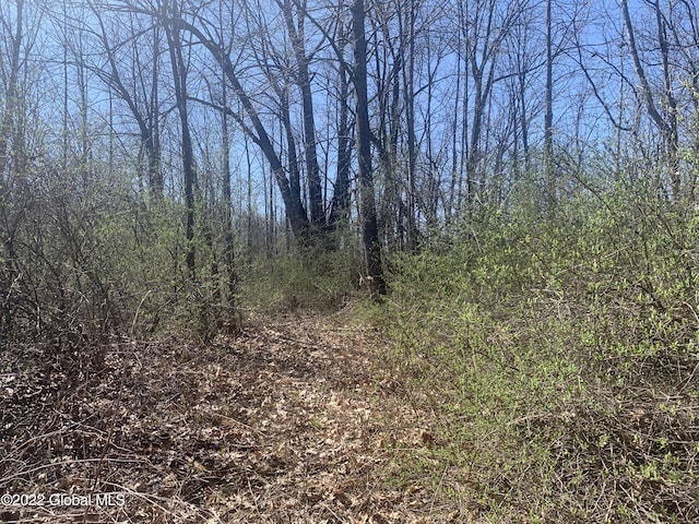 209 Firefly Meadow Rd, Fultonville, NY 12072 - photo 7