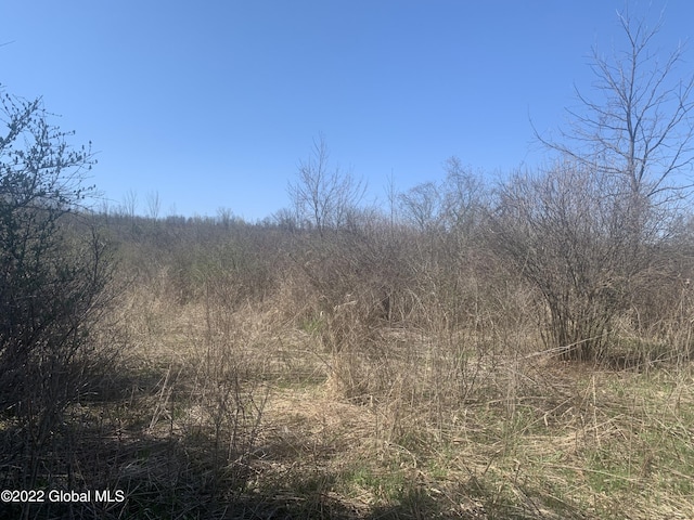 209 Firefly Meadow Rd, Fultonville, NY 12072 - photo 8