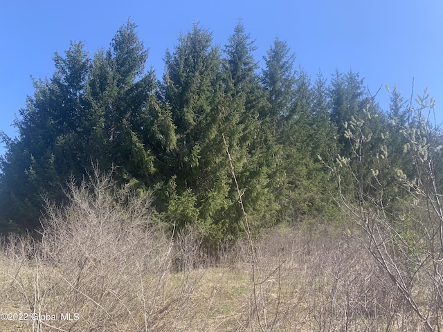209 Firefly Meadow Rd, Fultonville, NY 12072 - photo 10