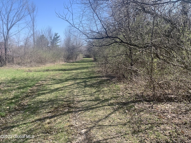 209 Firefly Meadow Rd, Fultonville, NY 12072 - photo 14