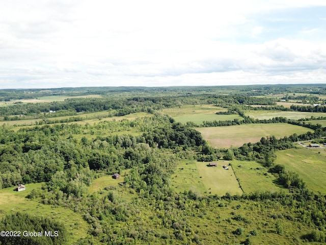 209 Firefly Meadow Rd, Fultonville, NY 12072 - photo 17