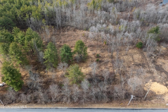 1085 W Line Rd, Charlton, NY 12010