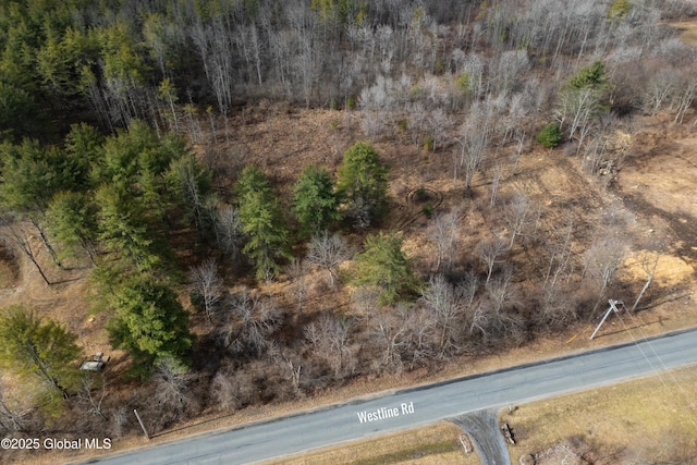 1085 W Line Rd, Charlton, NY 12010