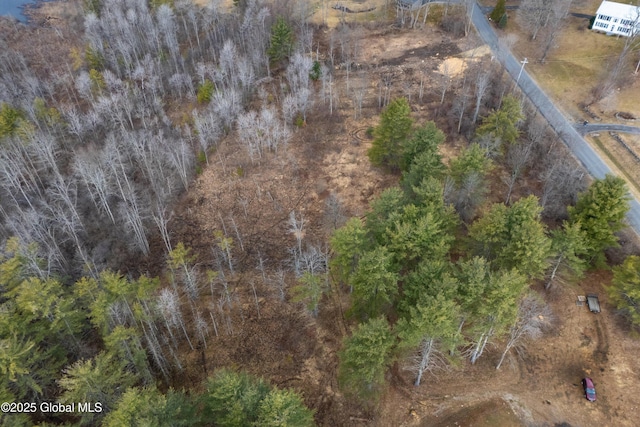 1085 W Line Rd, Charlton, NY 12010