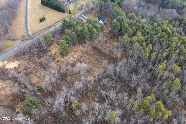 1085 W Line Rd, Charlton, NY 12010