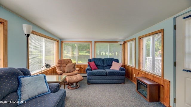 88 County Route 26a, Stuyvesant, NY 12173 - living room with vaulted ceiling, carpet flooring, baseboard heating, and wooden walls
