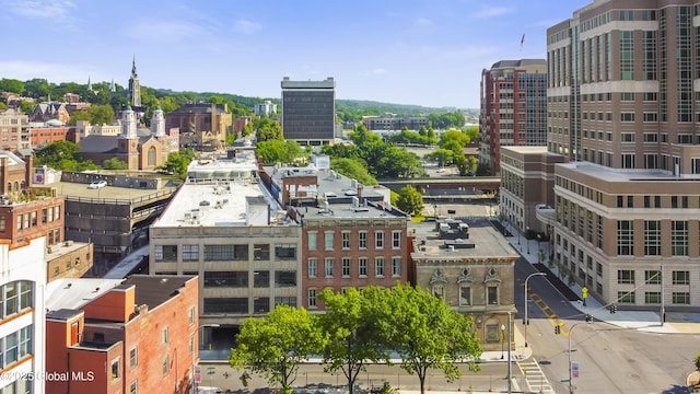 45 Columbia St, Albany, NY 12207 - photo 16