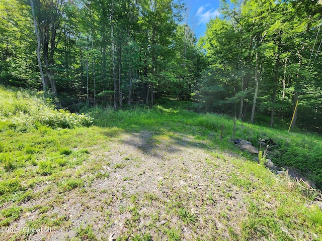 140 Roaser Rd, Sand Lake, NY 12153 - photo 1