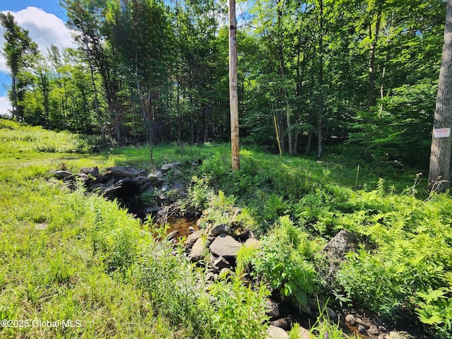 140 Roaser Rd, Sand Lake, NY 12153 - photo 2