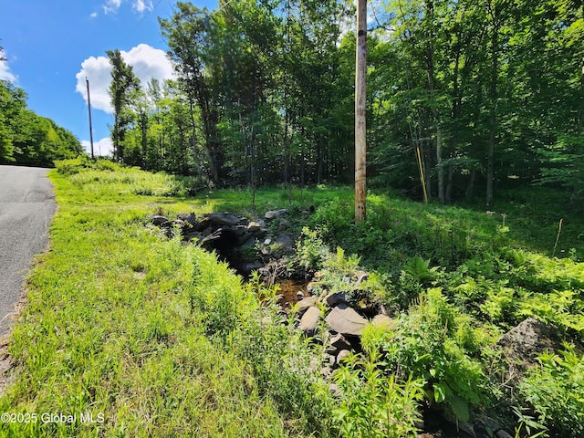 140 Roaser Rd, Sand Lake, NY 12153 - photo 3