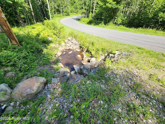 140 Roaser Rd, Sand Lake, NY 12153 - photo 4