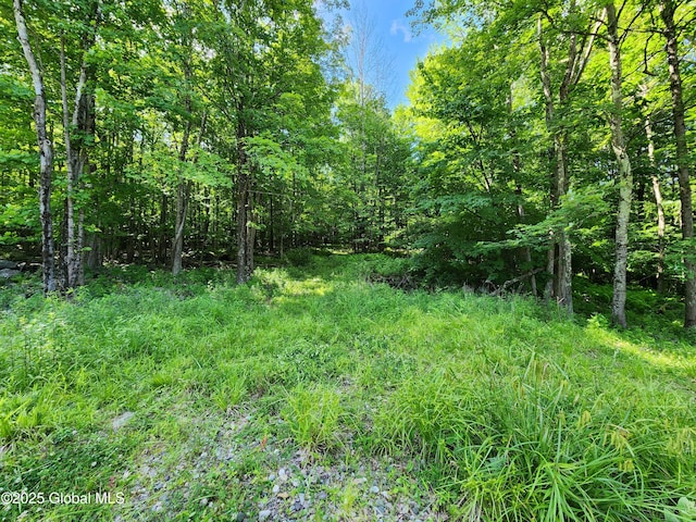 140 Roaser Rd, Sand Lake, NY 12153 - photo 5