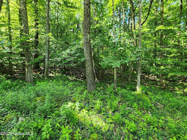 140 Roaser Rd, Sand Lake, NY 12153 - photo 6